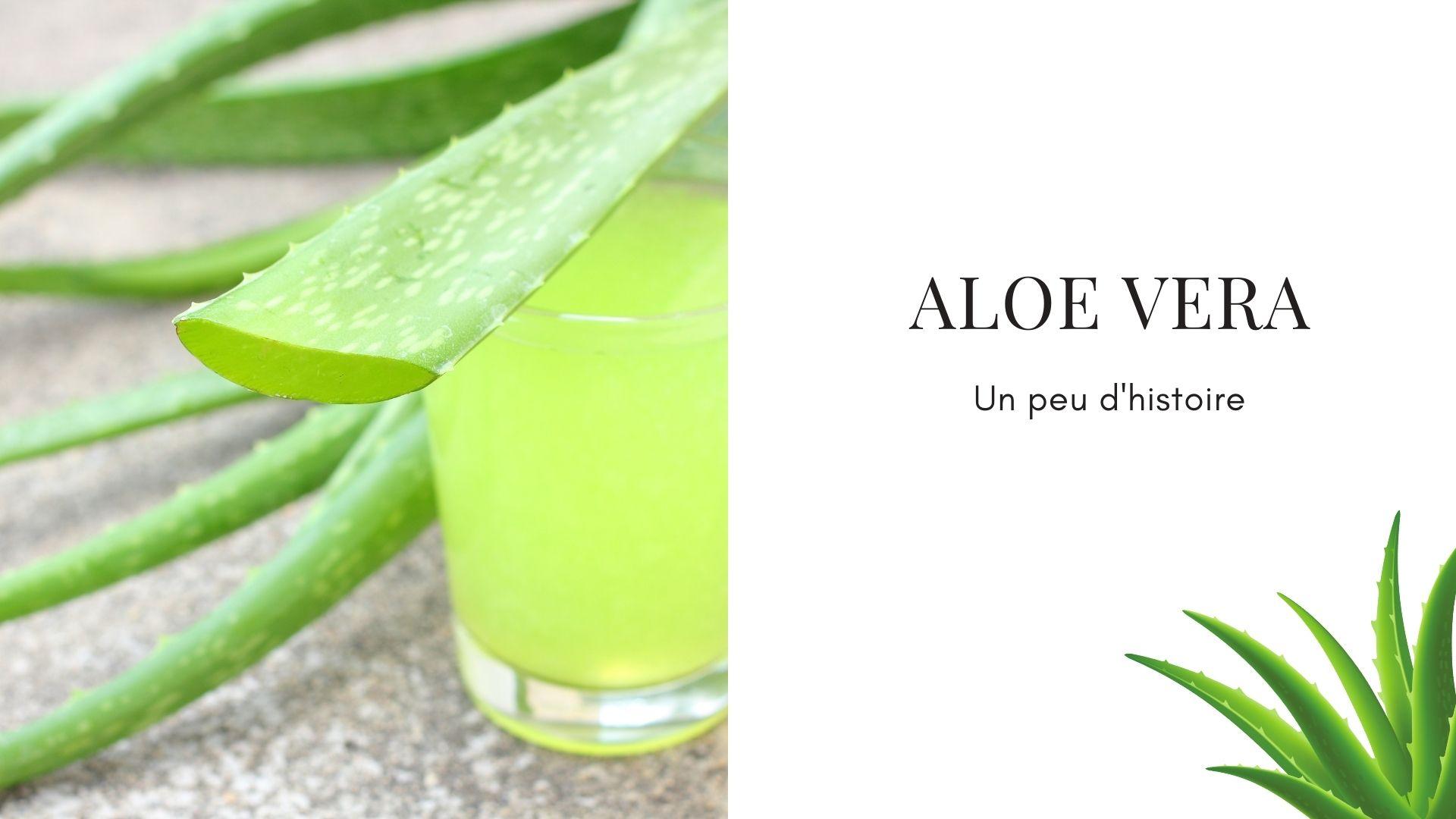 Aloe vera histoire beaute tales frederic m