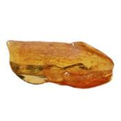 Ambre