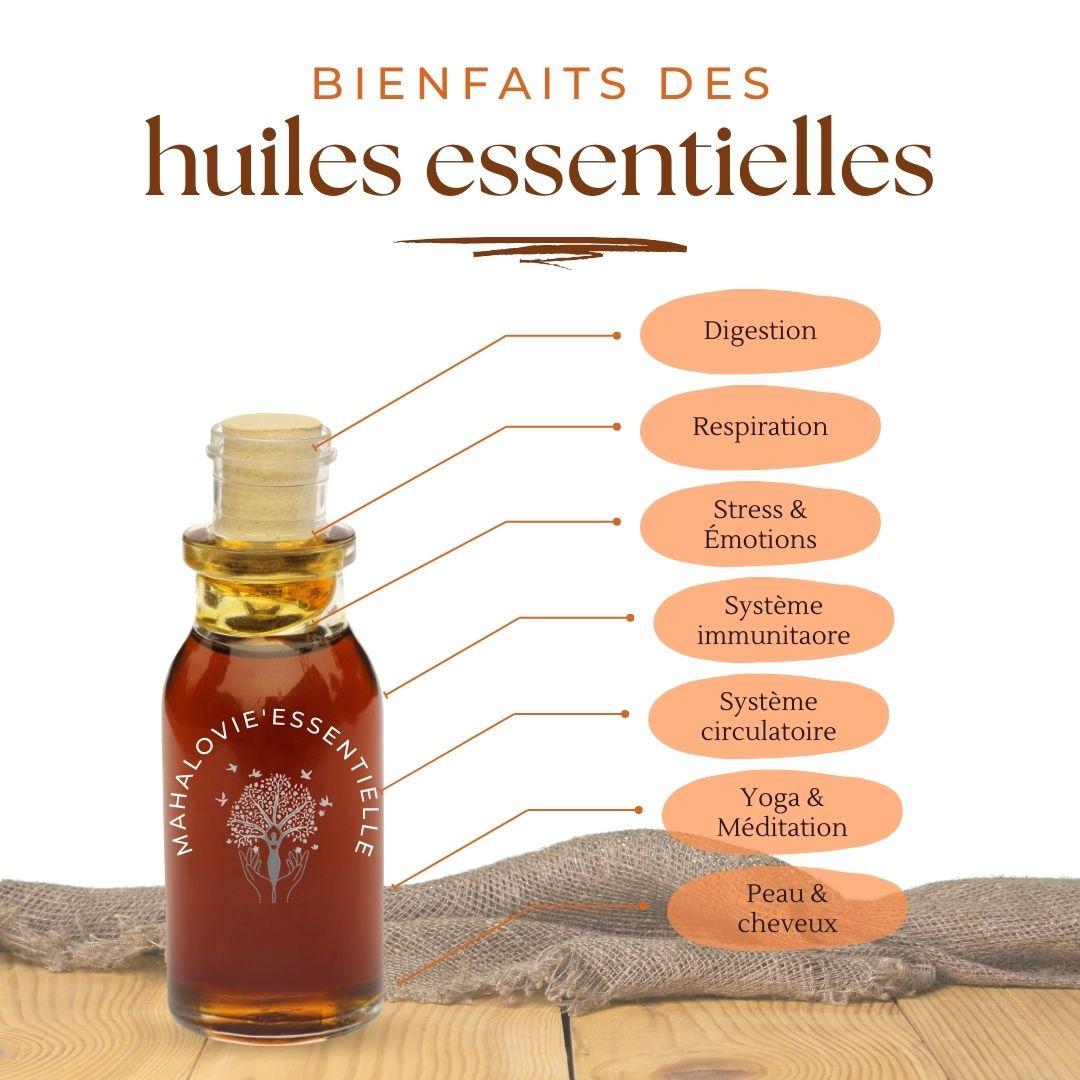 Apprendre utiliser huile essentielle mahalovie aroma family doterra
