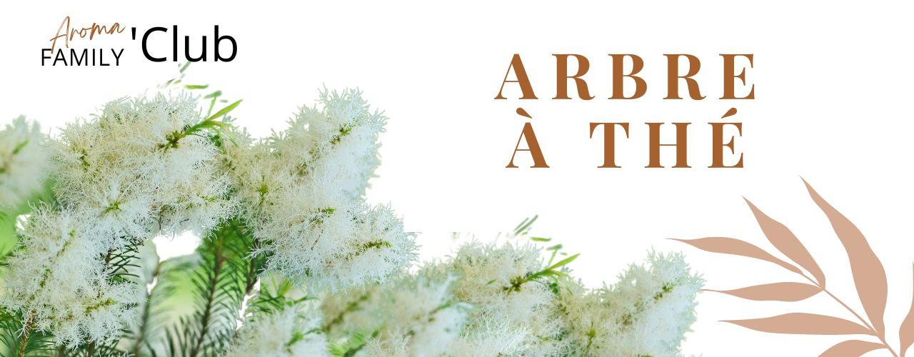 Arbe a the melaleuca doterra mahalovieeseentielle aroma family club