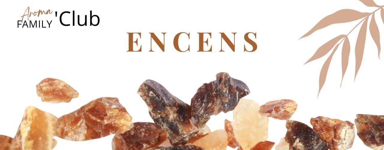 Encens doterra mahalovieessentielle aroma family kit