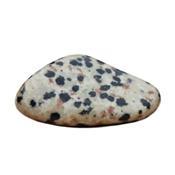 Jaspe dalmatien